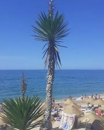 Nid De Reve Apartment *